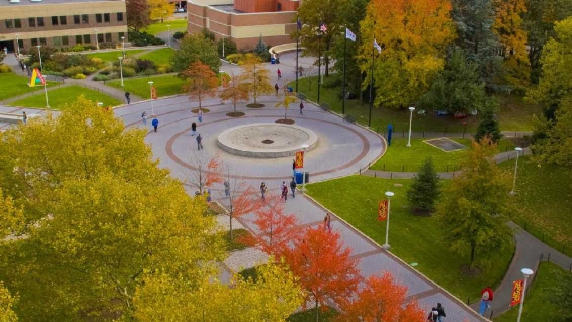 Stony Brook