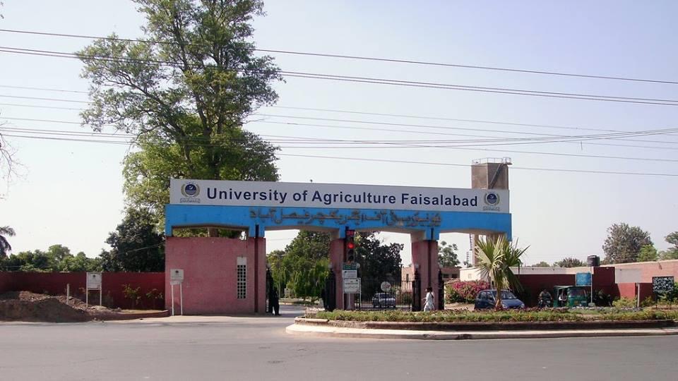 Faisalabad