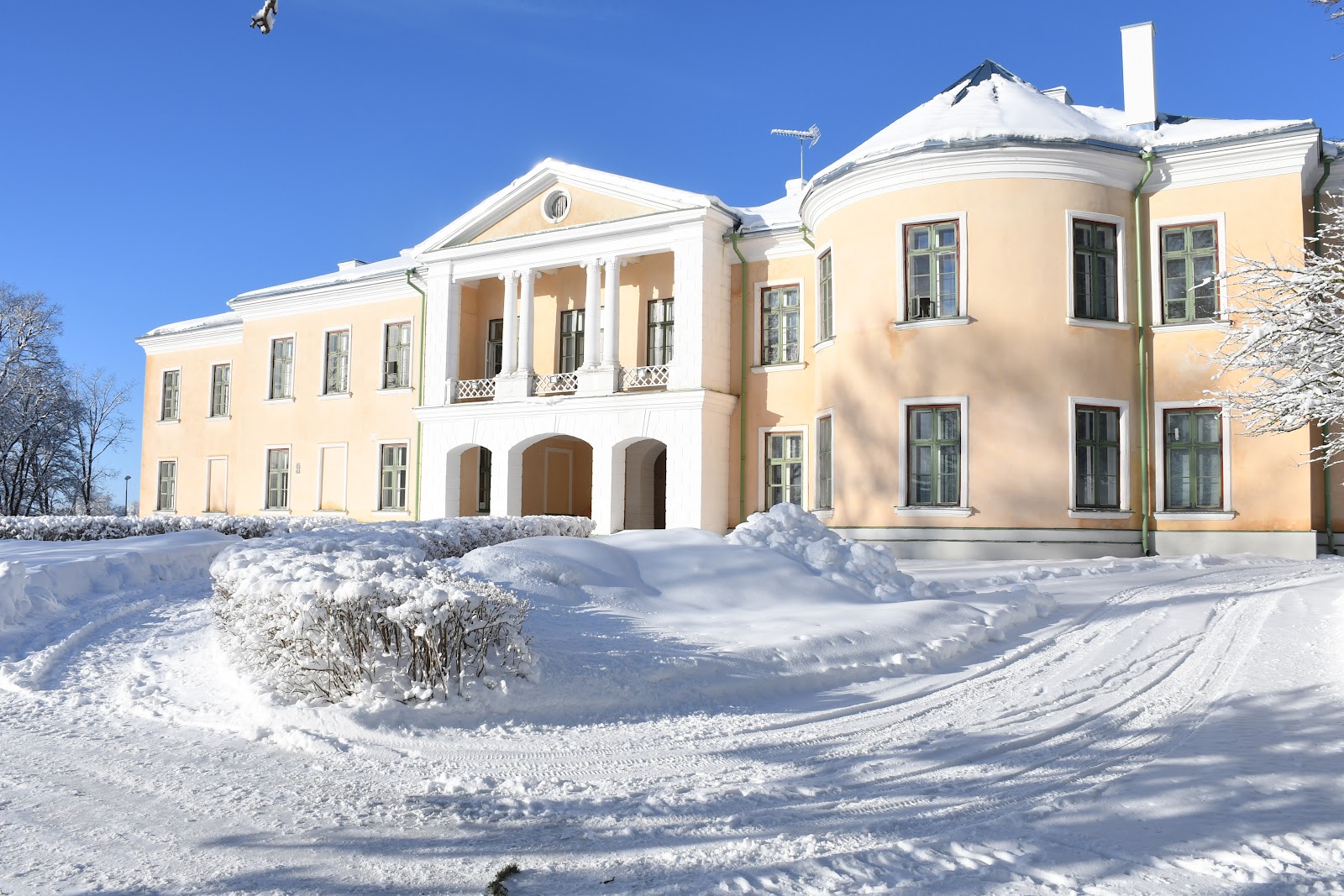 Mõdriku