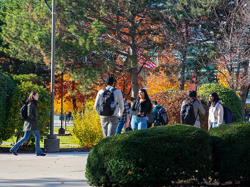 State University 2905 photo 3