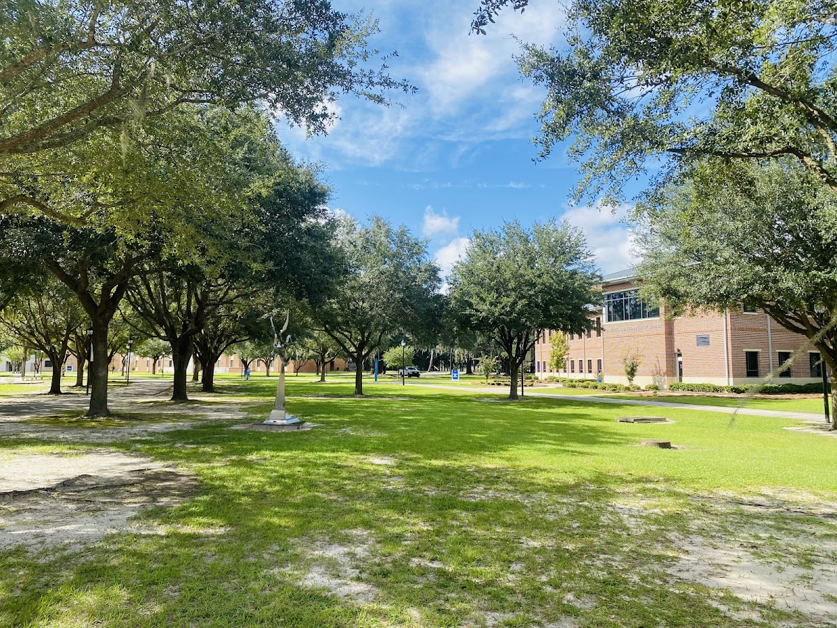 Savannah State University photo 2