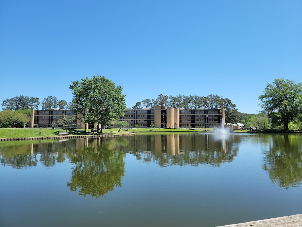Stephen F. Austin State University photo 6