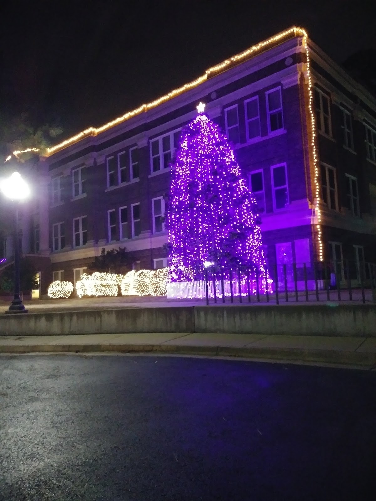 Stephen F. Austin State University photo 9