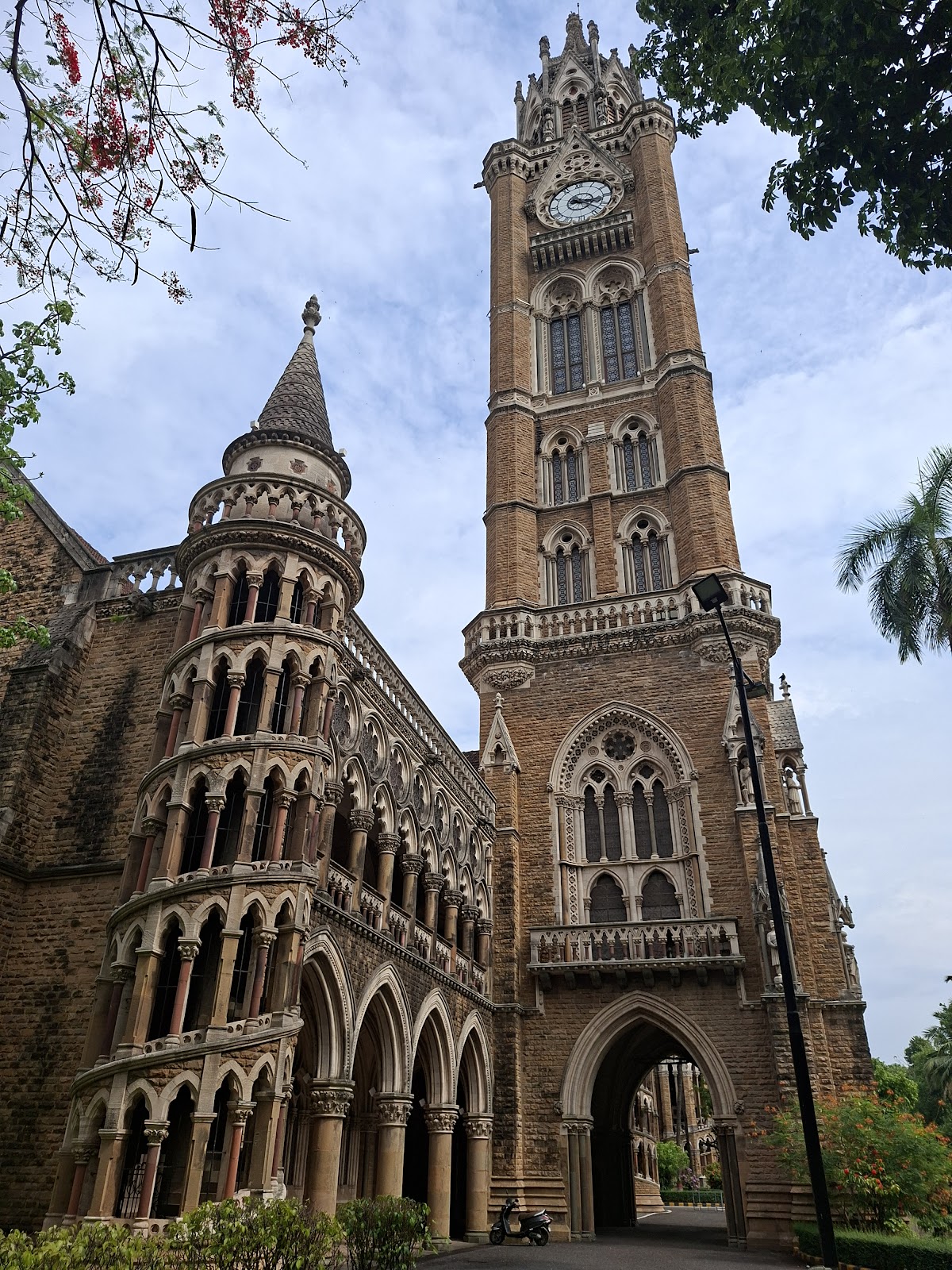 University of Mumbai photo 7