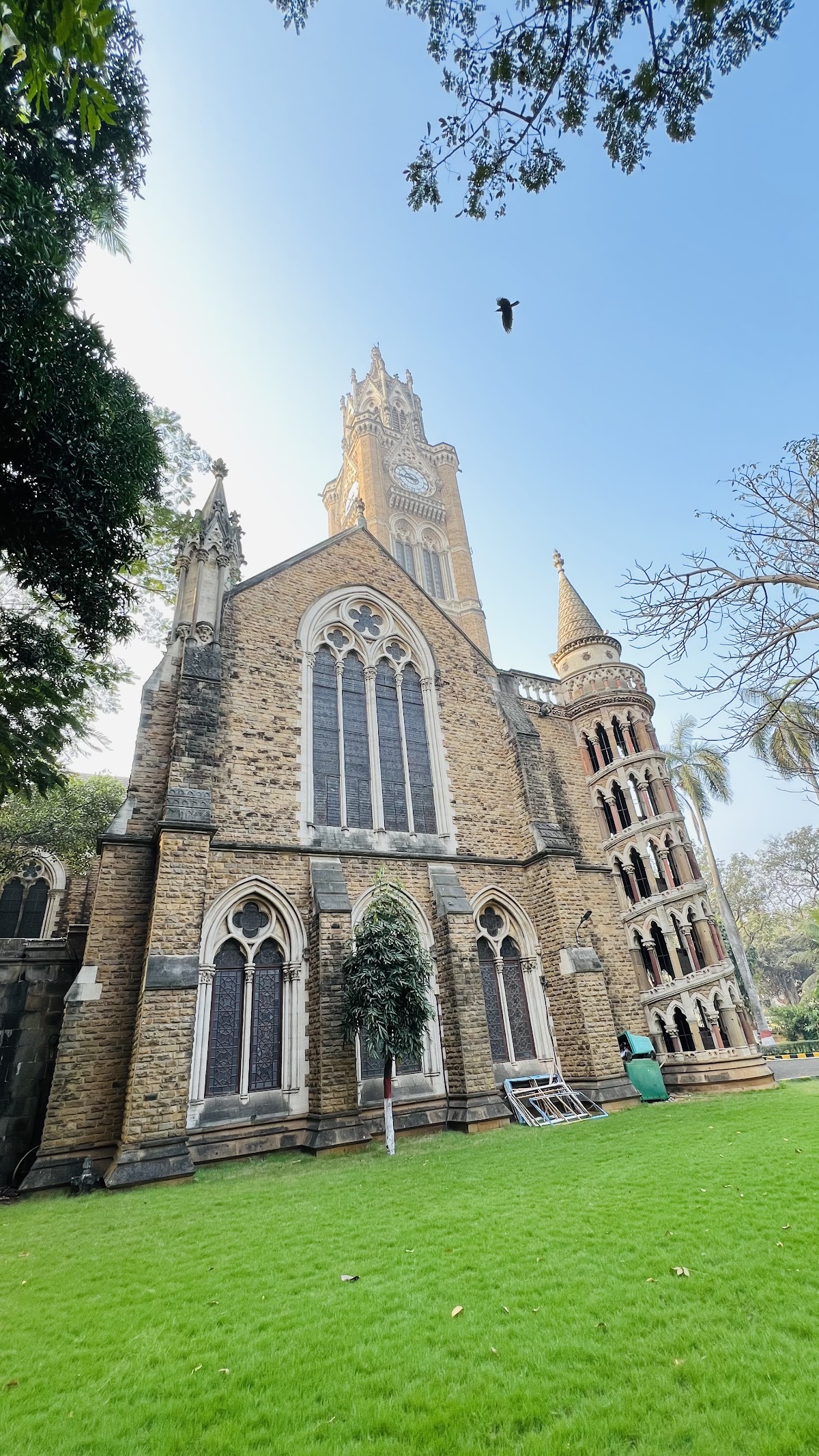 University of Mumbai photo 9