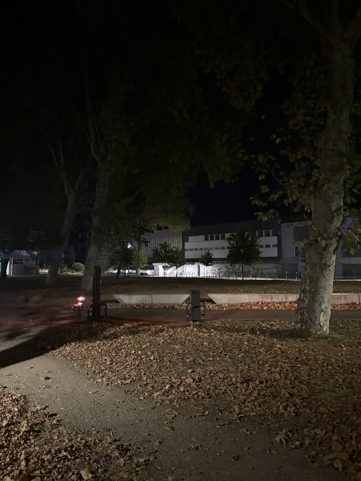 INSA Lyon photo 8