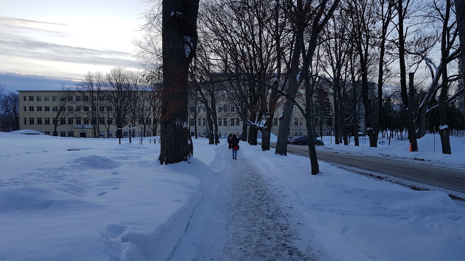 Université Mérici