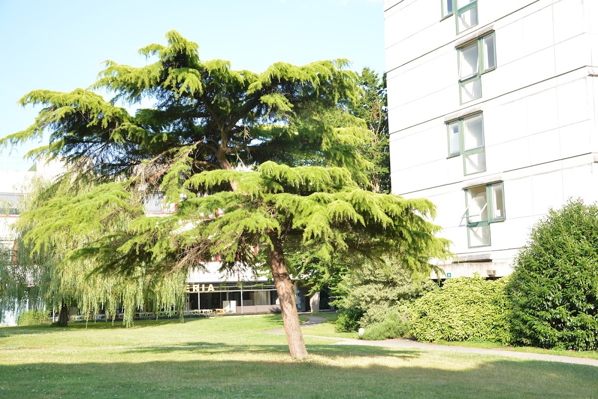 Université de Rennes 1 photo 4