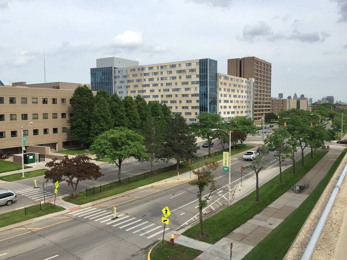 State University 1813 photo 6