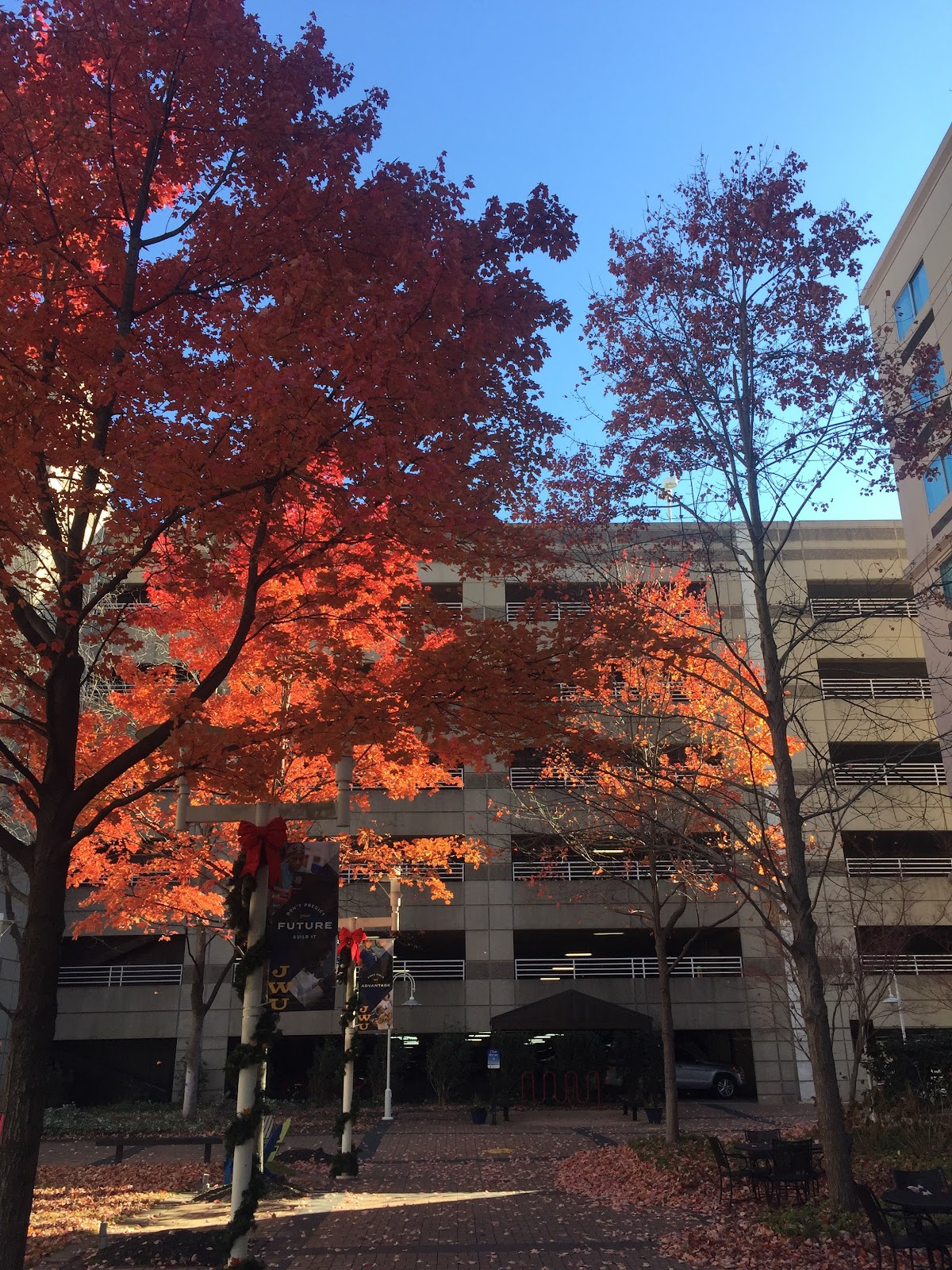 College of 2150 photo 7