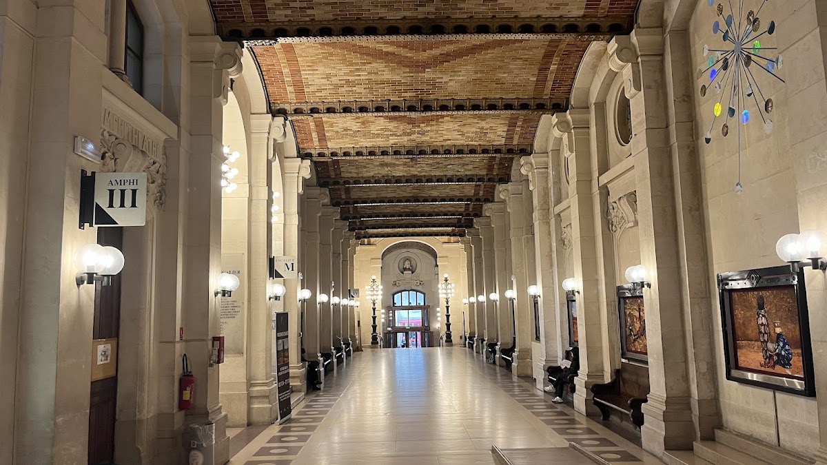 Université de Paris photo 1