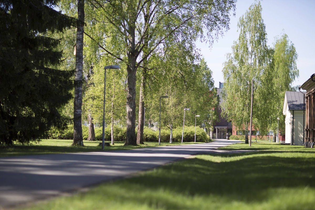 Mikkeli University of Applied Sciences photo 3