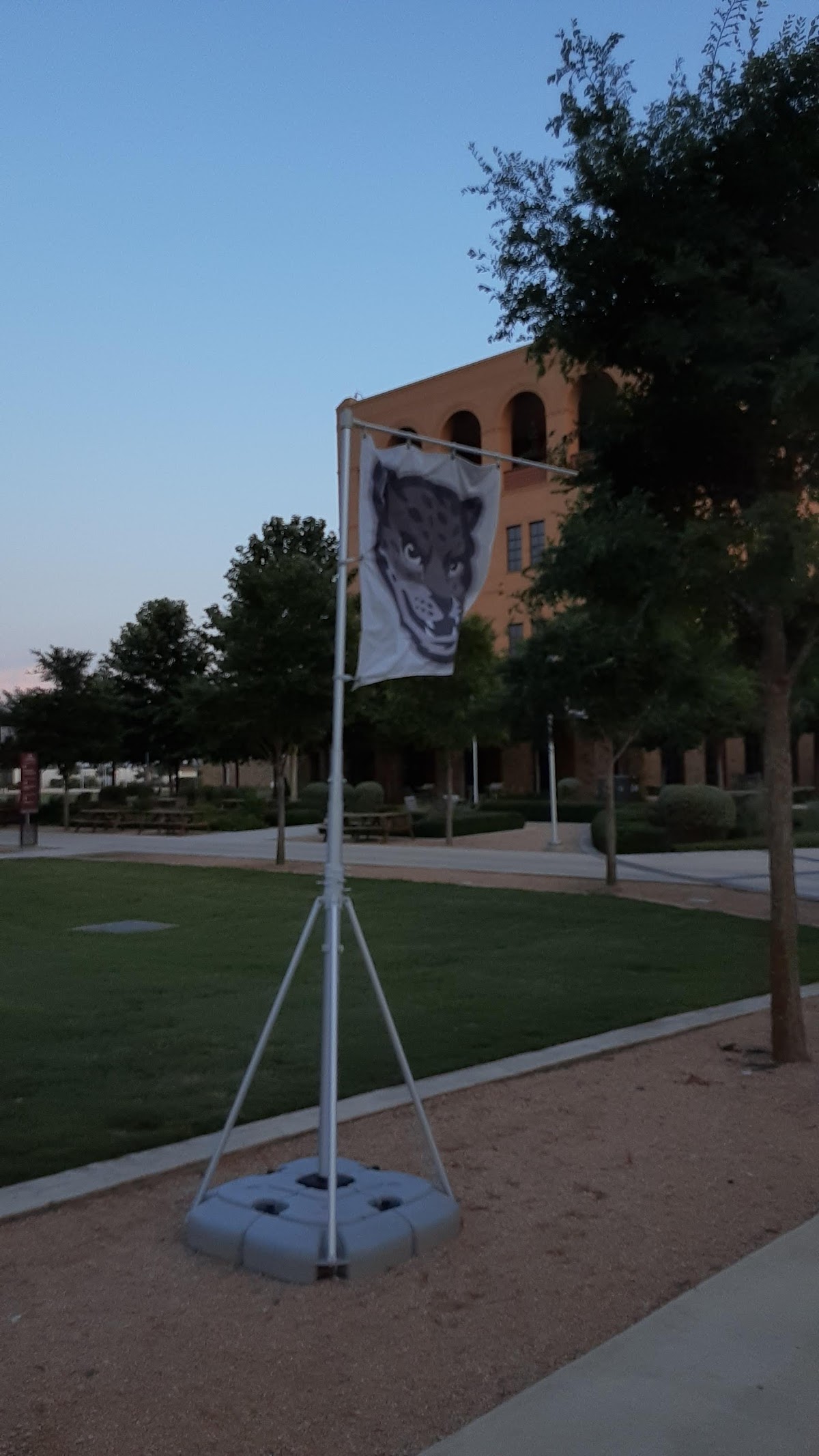 Texas A&M San Antonio photo 8
