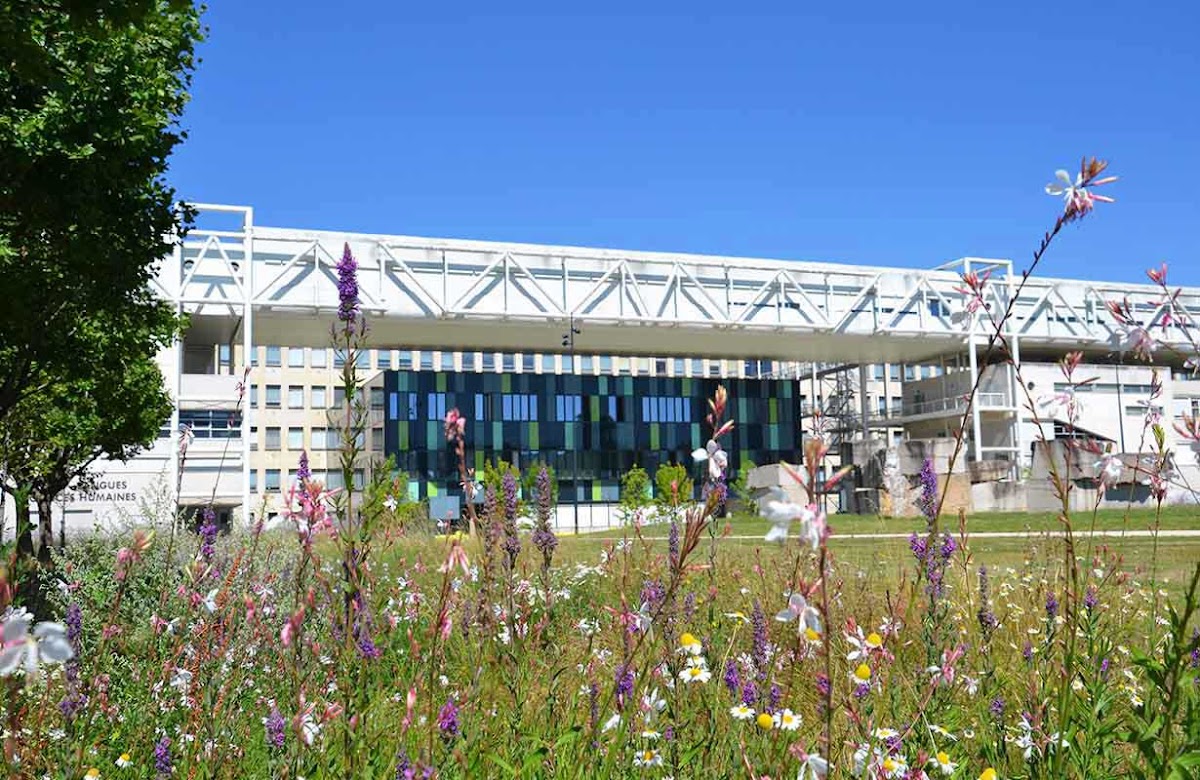 University of Burgundy photo 3