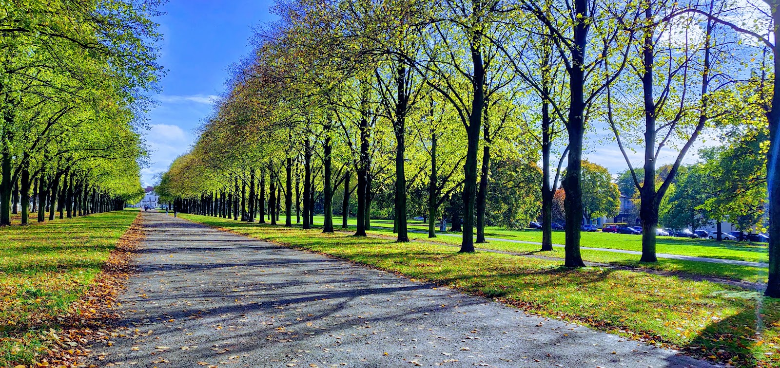 Hannover