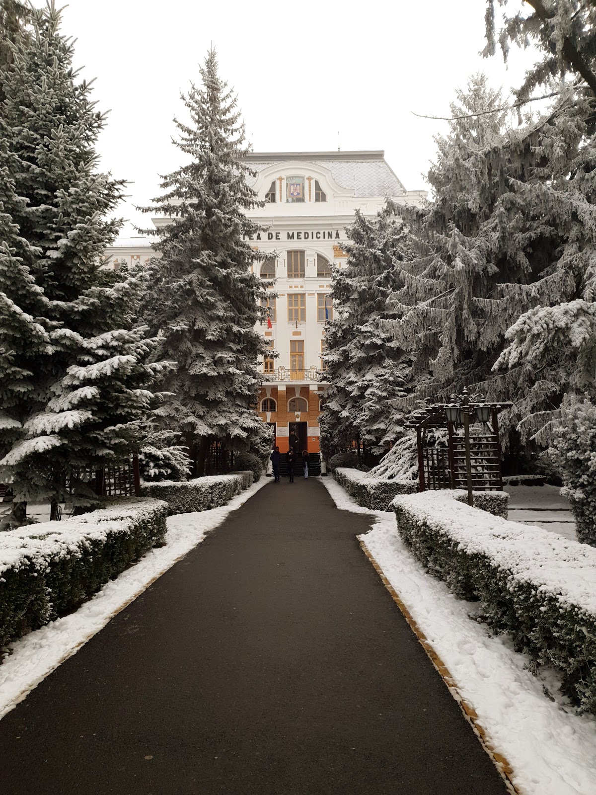 George Emil Palade University of Medicine, Pharmacy, Science, and Technology of Târgu Mureș photo 7