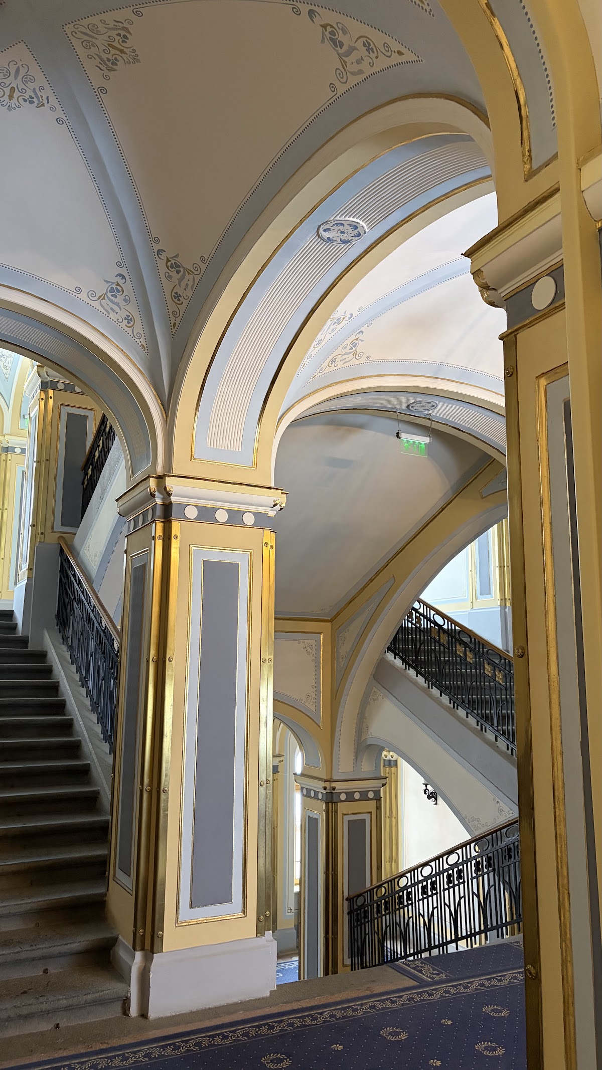 George Emil Palade University of Medicine, Pharmacy, Science, and Technology of Târgu Mureș photo 9