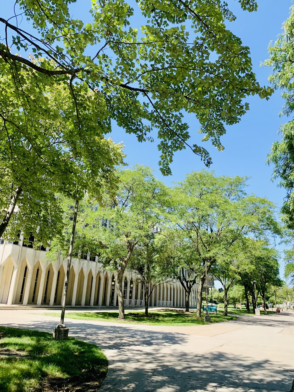 Wayne State University photo 8