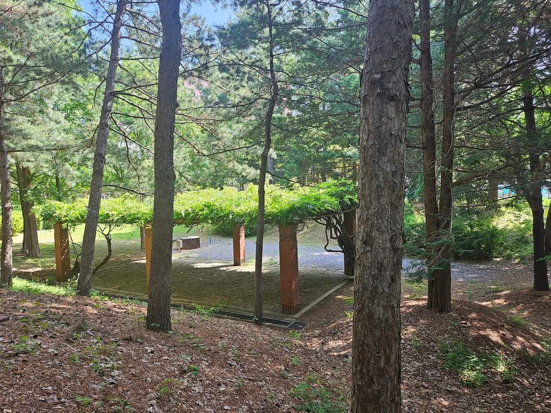 Catholic University of Korea