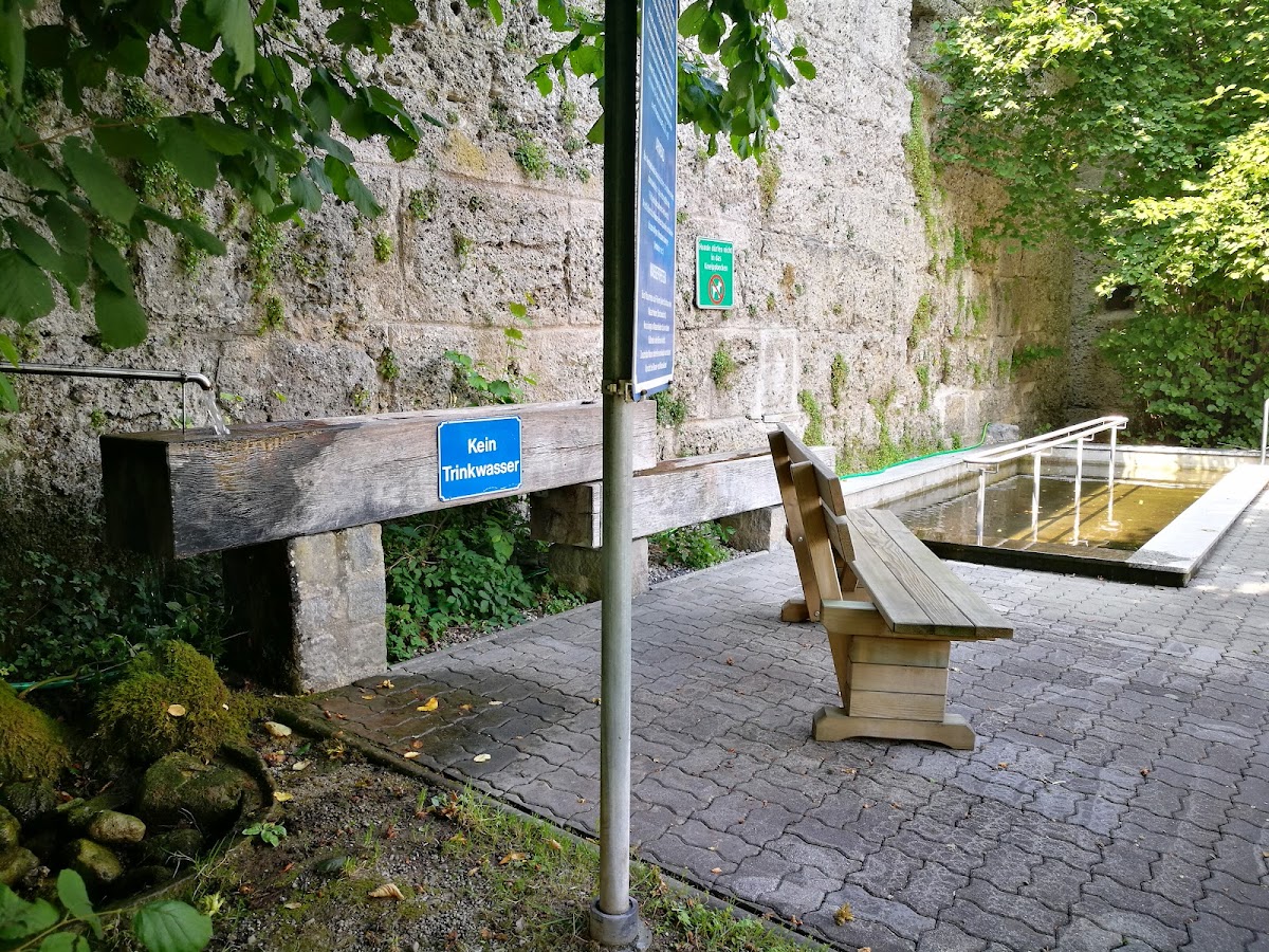 Private University Seeburg Castle photo 2