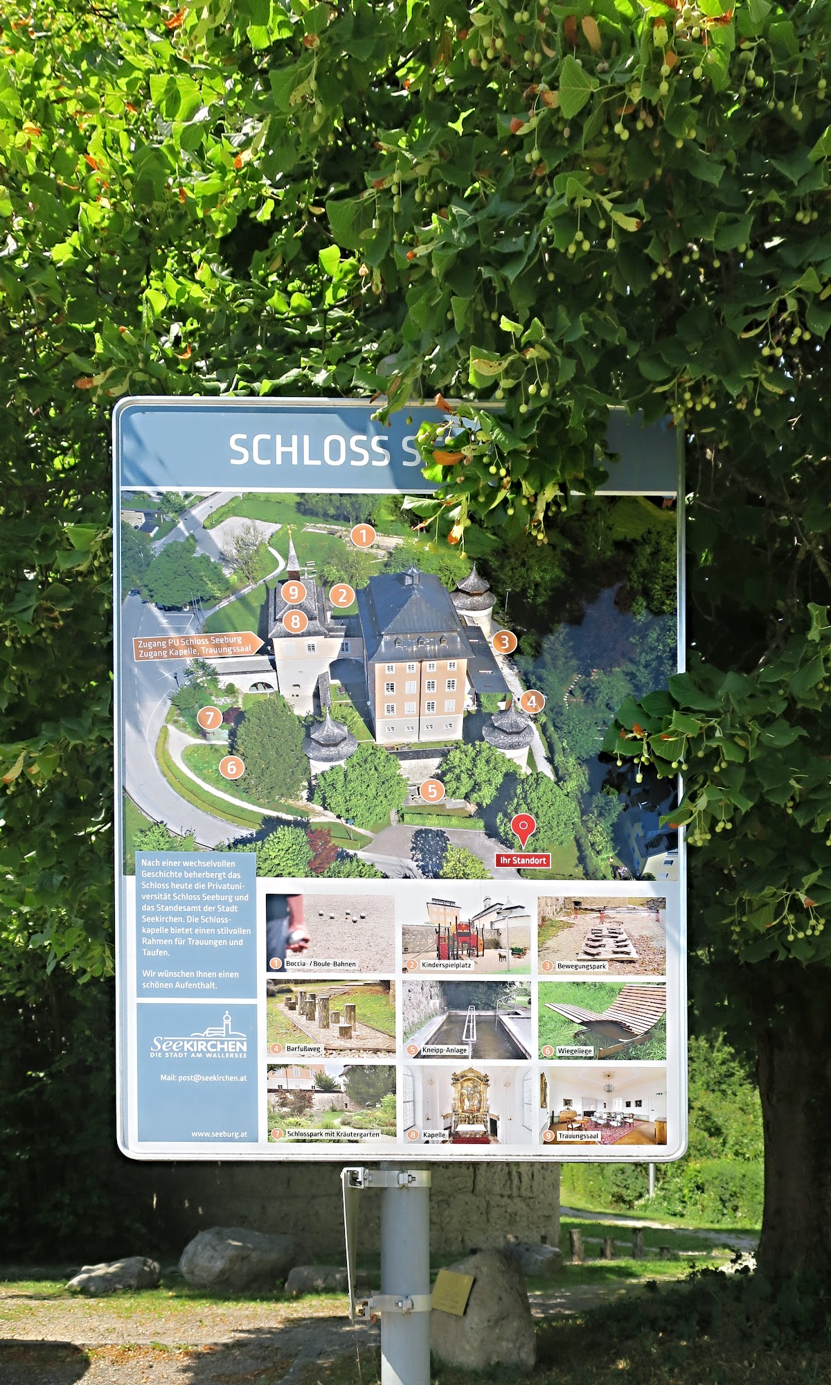 Private University Seeburg Castle photo 9