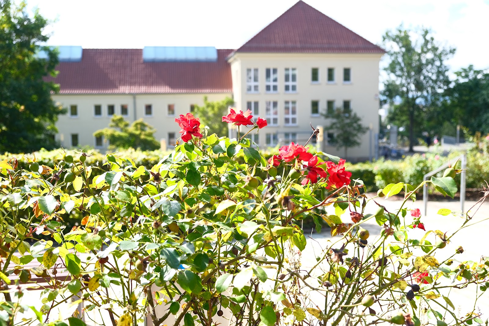 Northeim