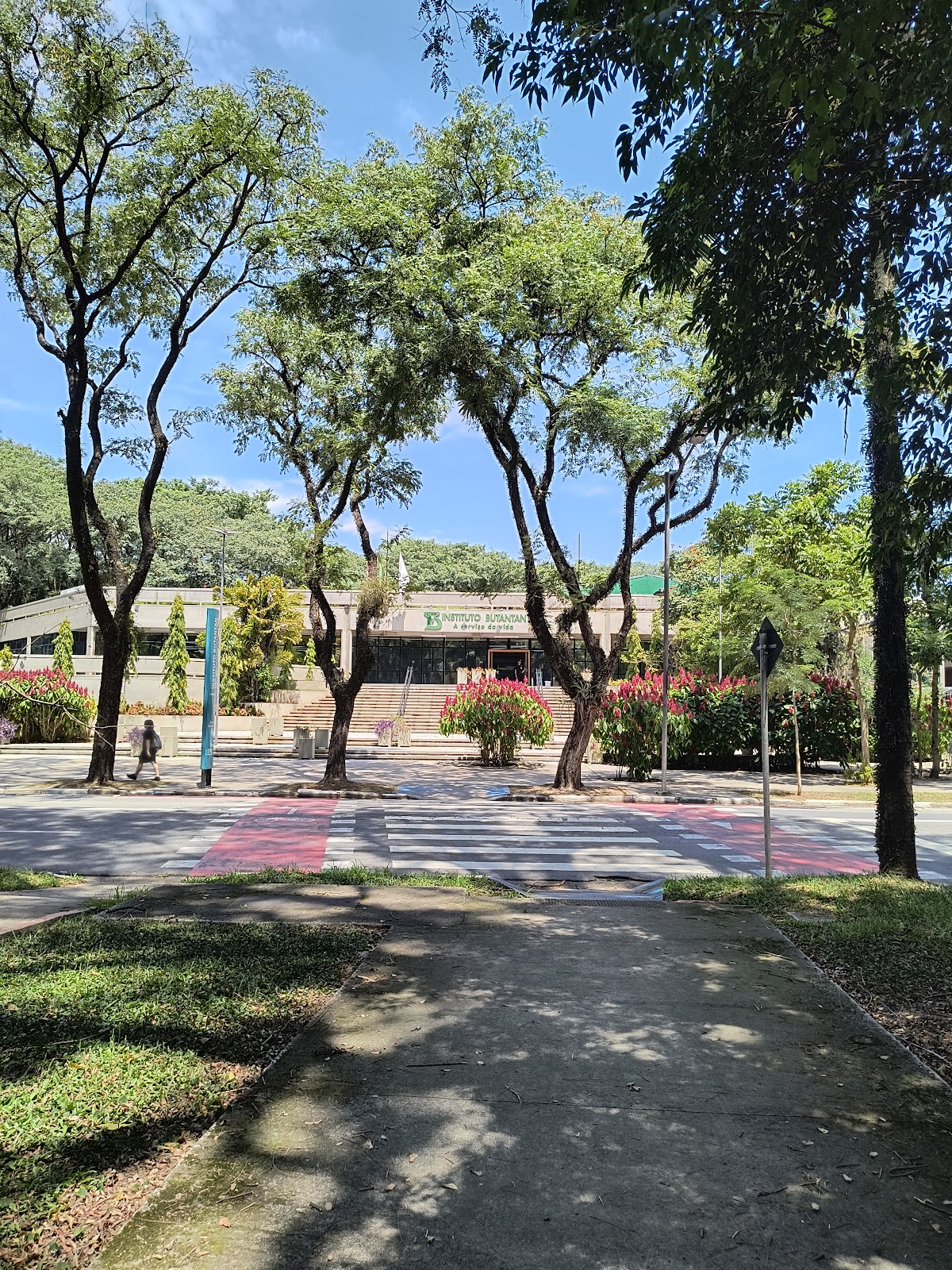 State University of São Paulo photo 6
