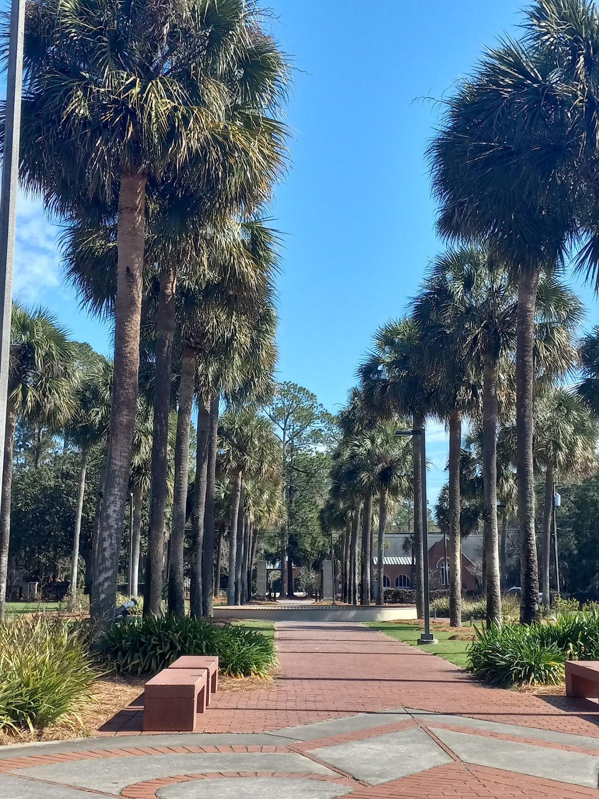 Valdosta State University photo 6