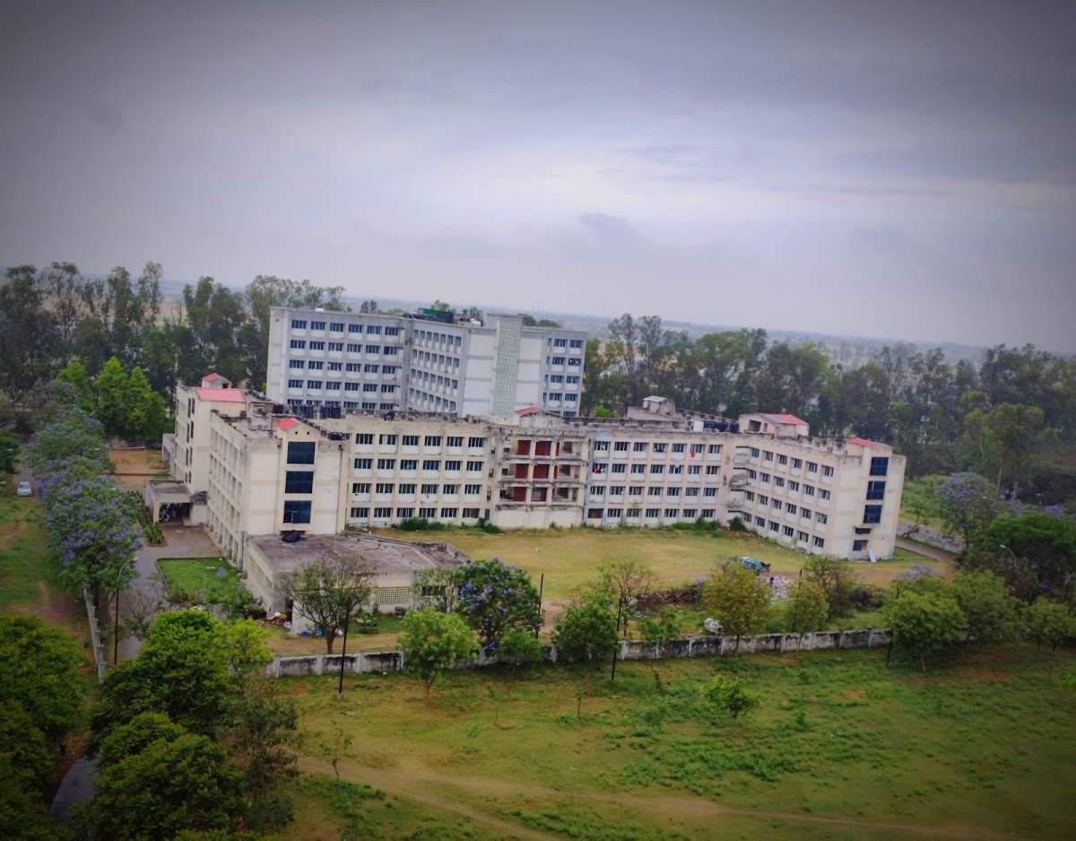 Punjabi University photo 7