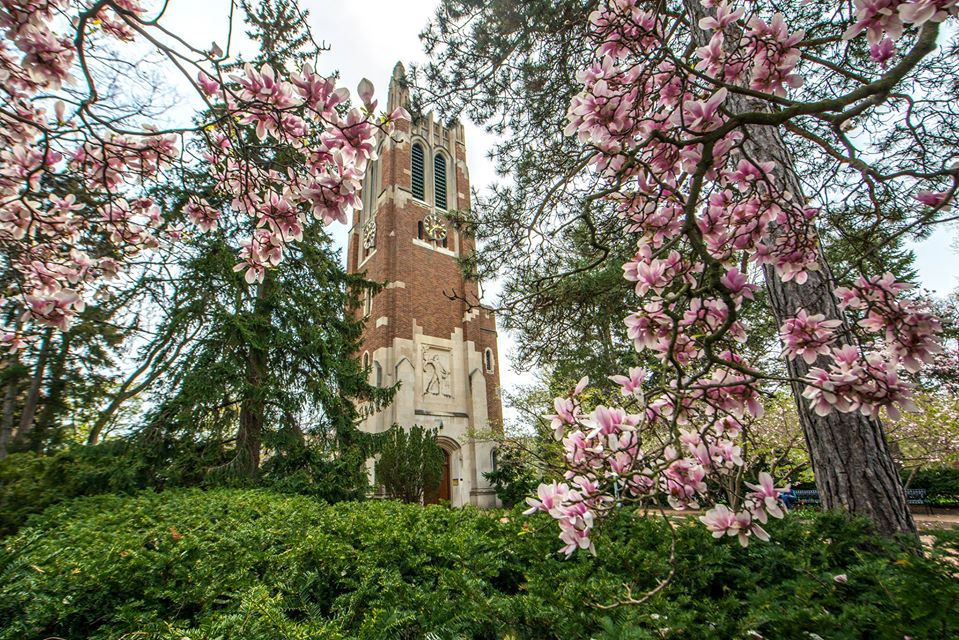 Michigan State University photo 3