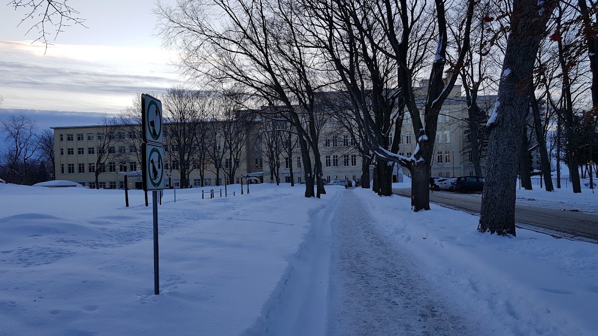 Collège Mérici photo 1