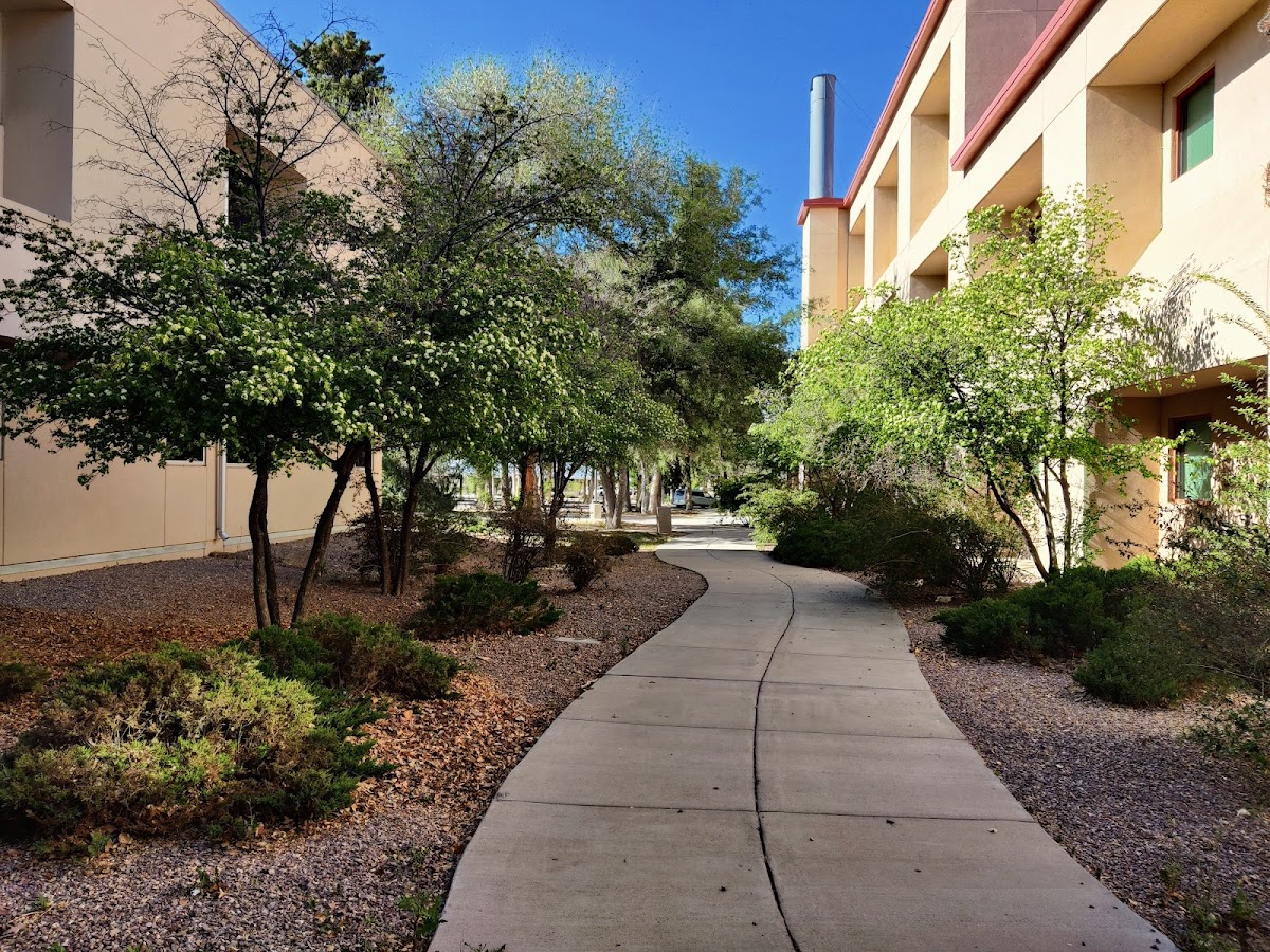 New Mexico Institute of Mining and Technology photo 8