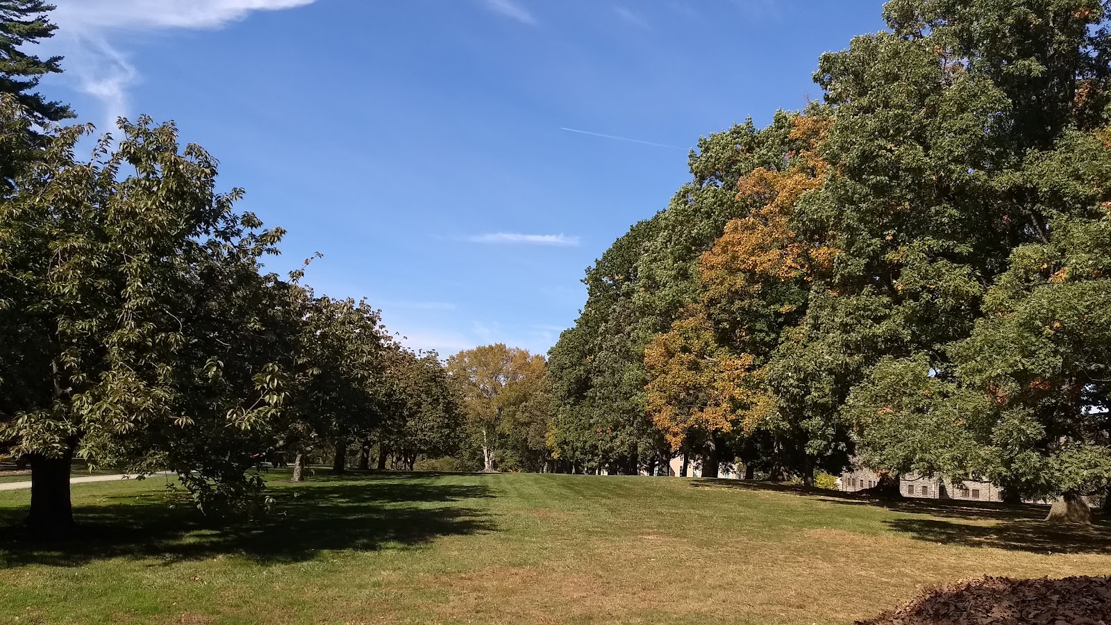 Bryn Mawr