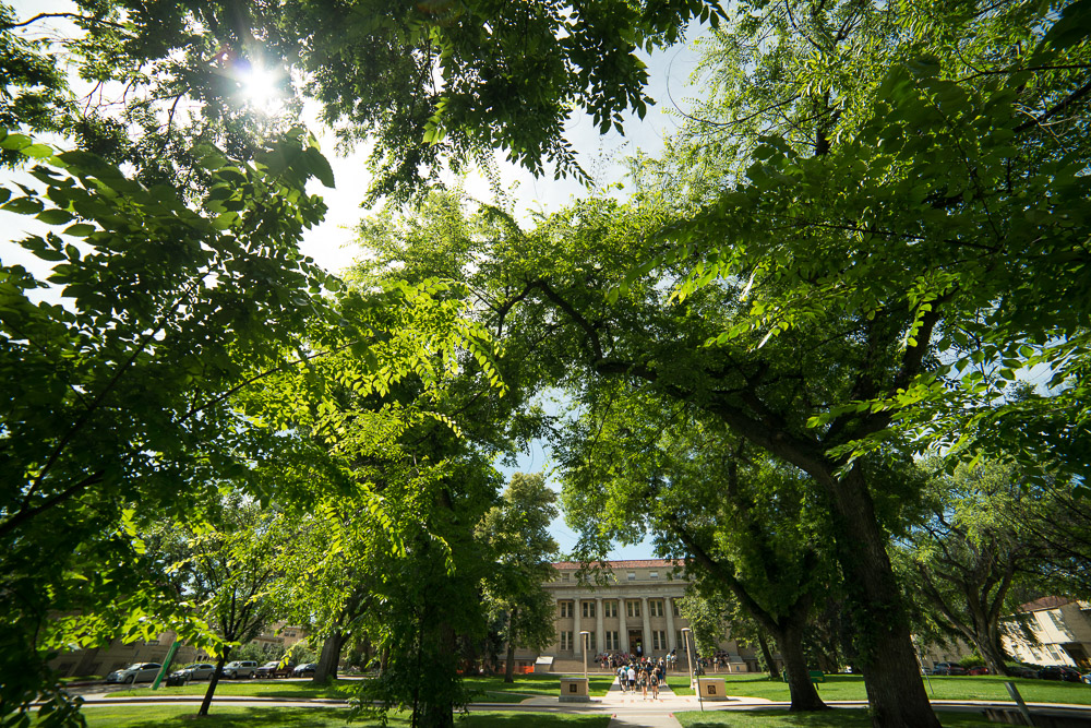Colorado State University photo 4