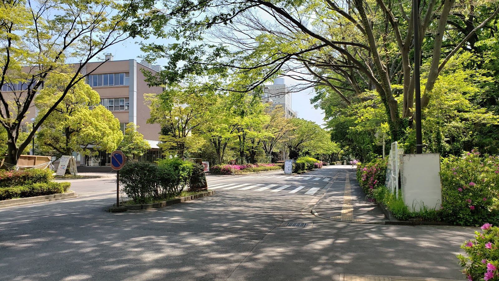 Saitama