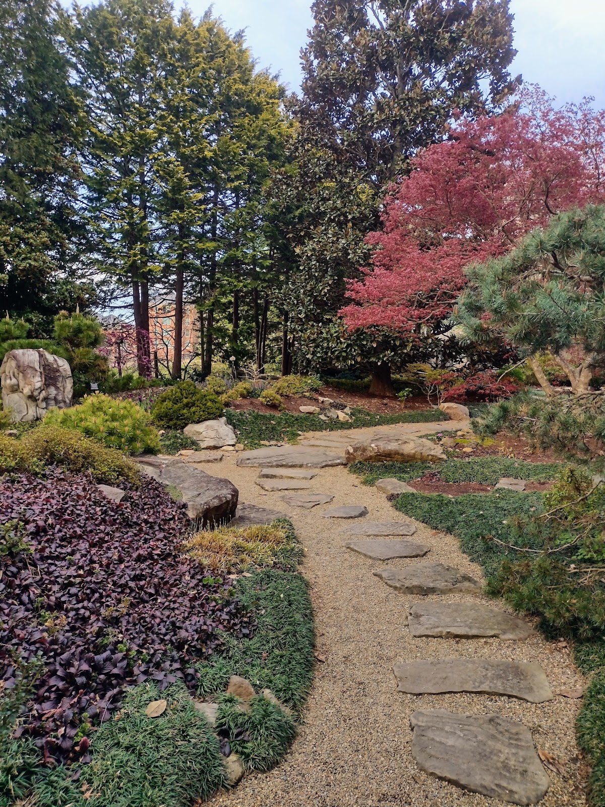 College of 2514 photo 7