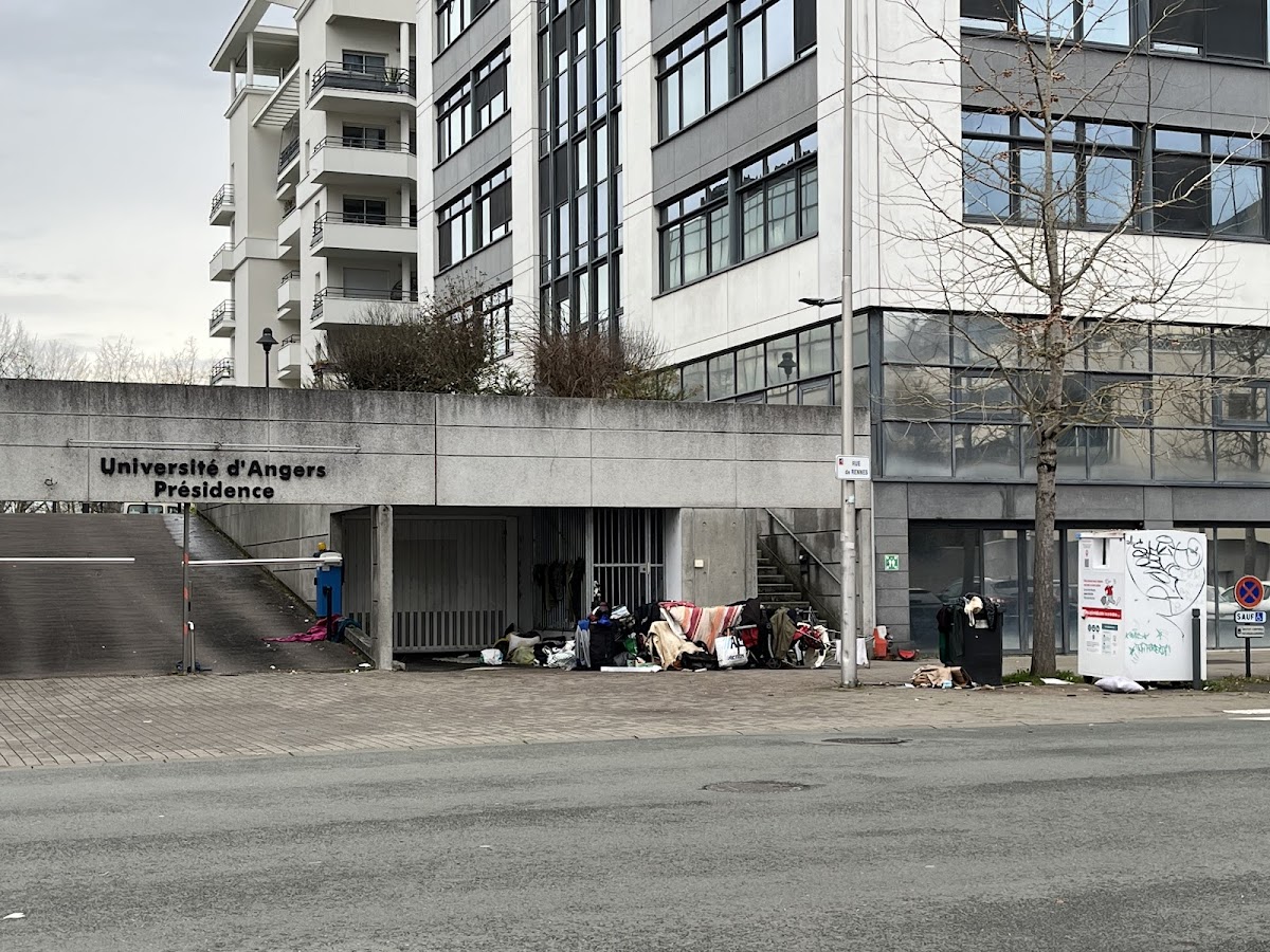 Université d'Angers photo 8