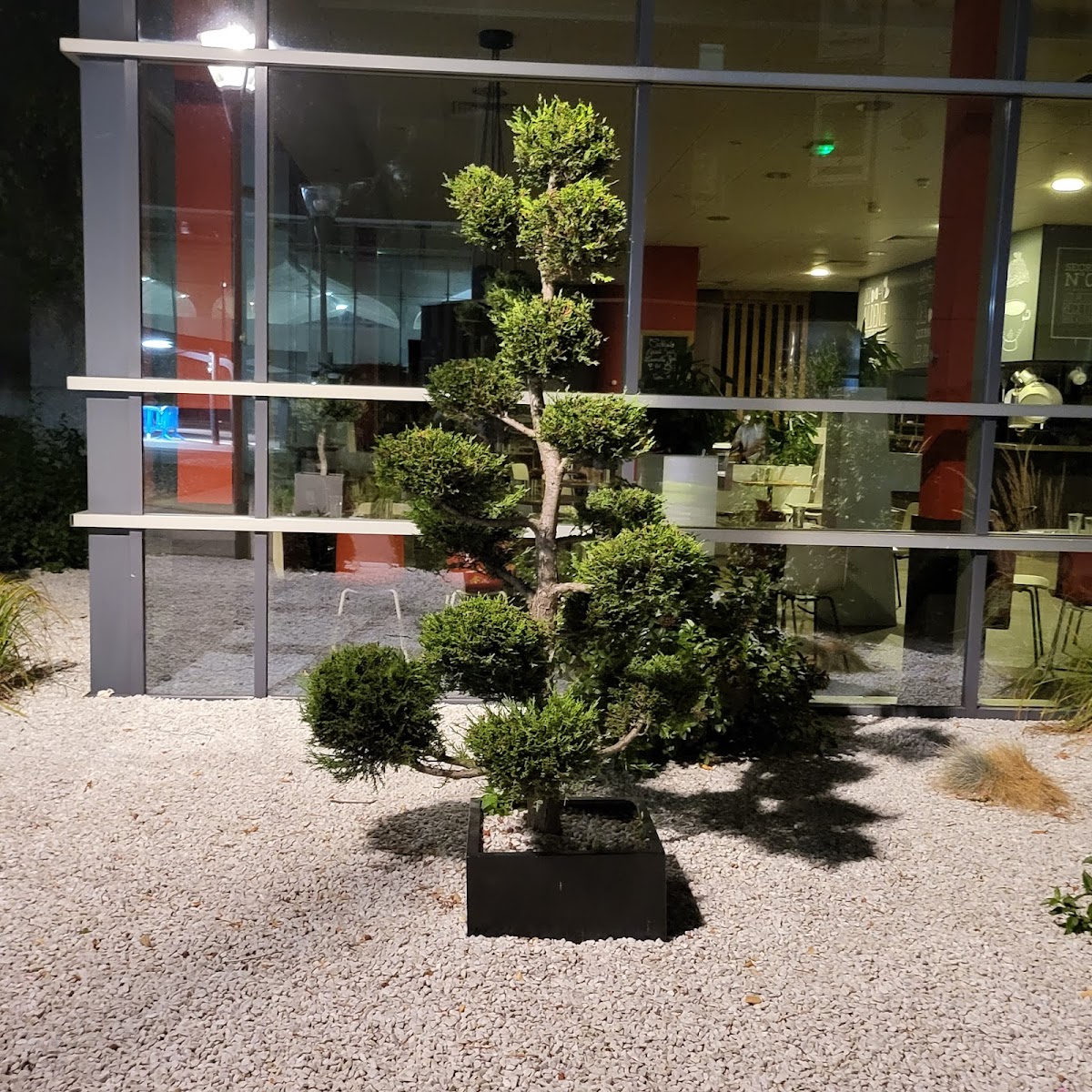 Université d'Angers photo 9