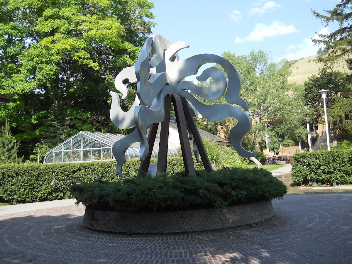 Montana University photo 6