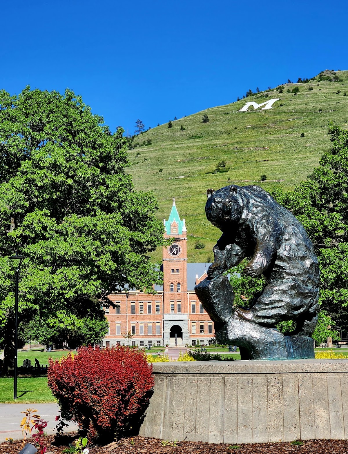 Montana University photo 7