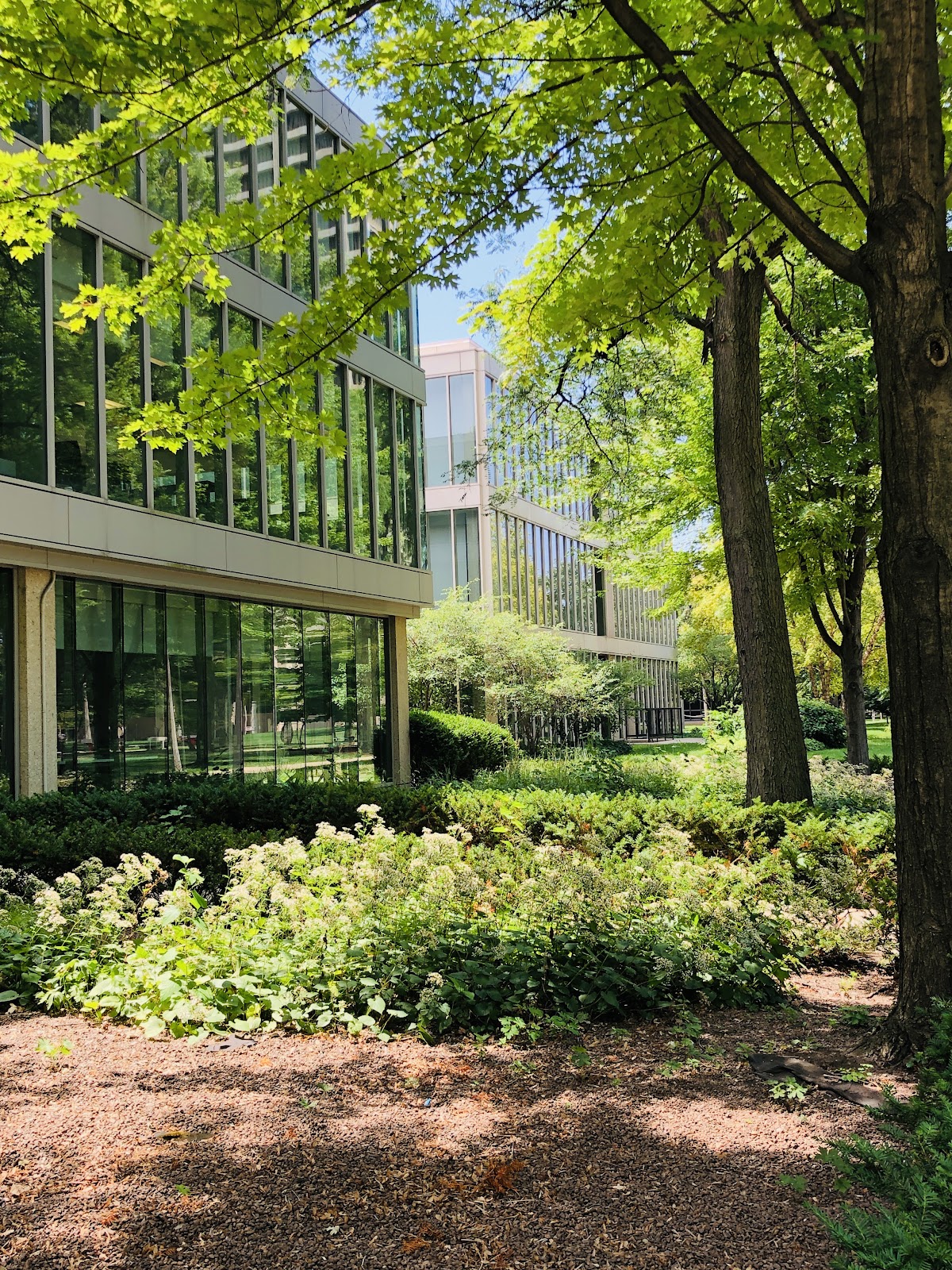 Regional University 3310 photo 9