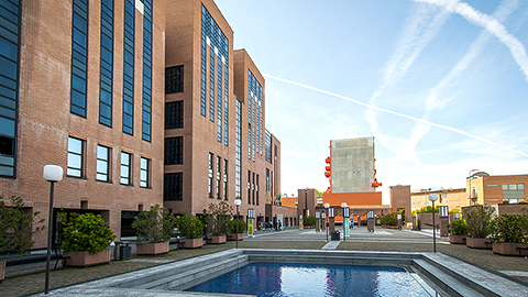 IULM University