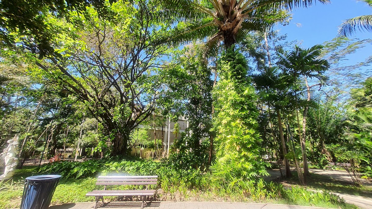 University of Fortaleza photo 4