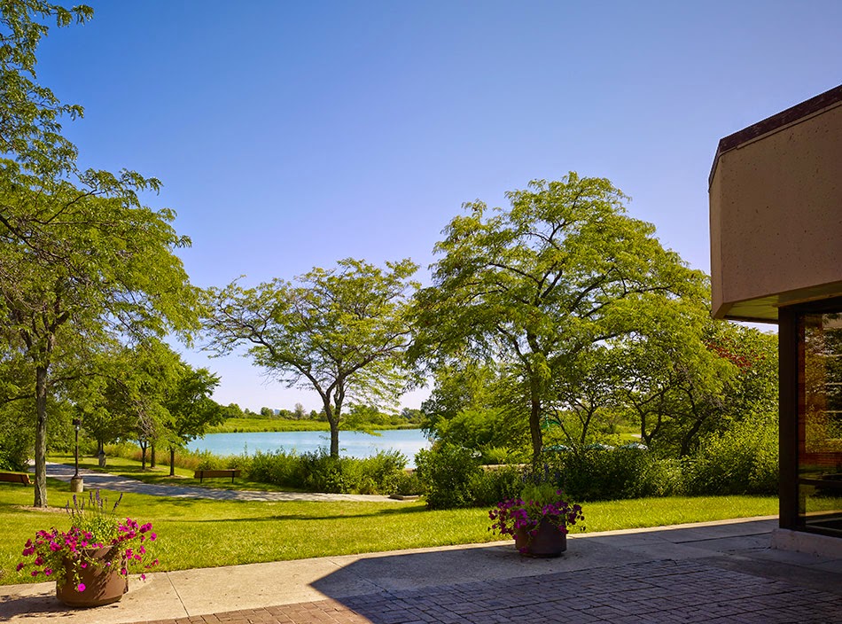 Regional University 2862 photo 7
