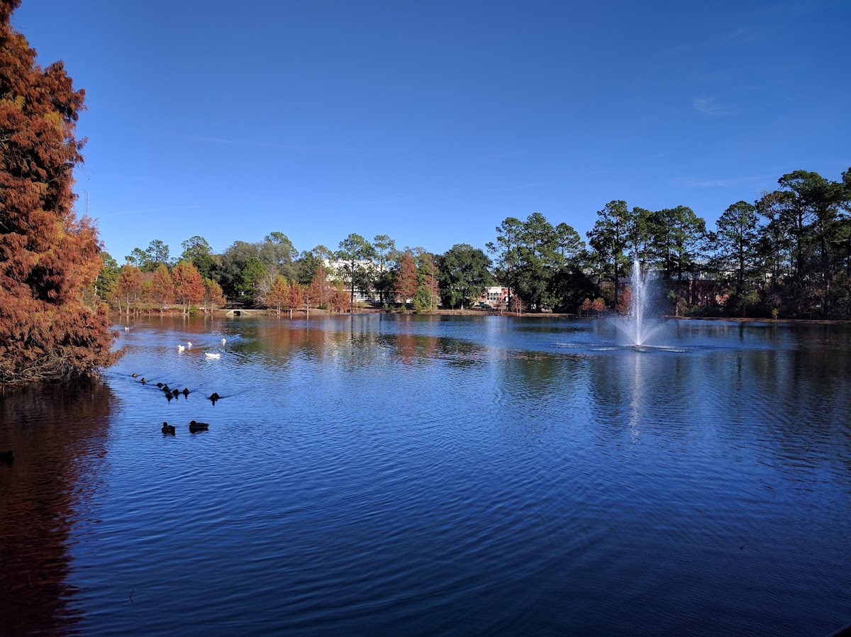 Georgia Southern University photo 8