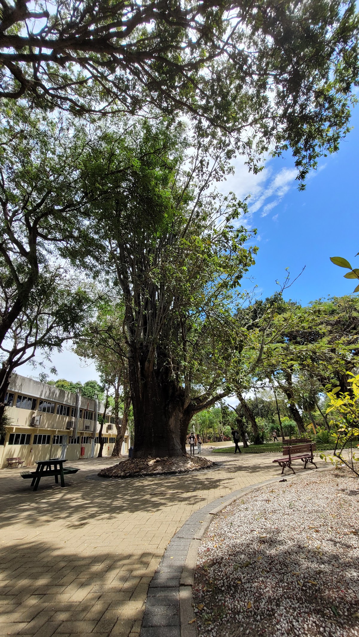 University Center of Fortaleza photo 9