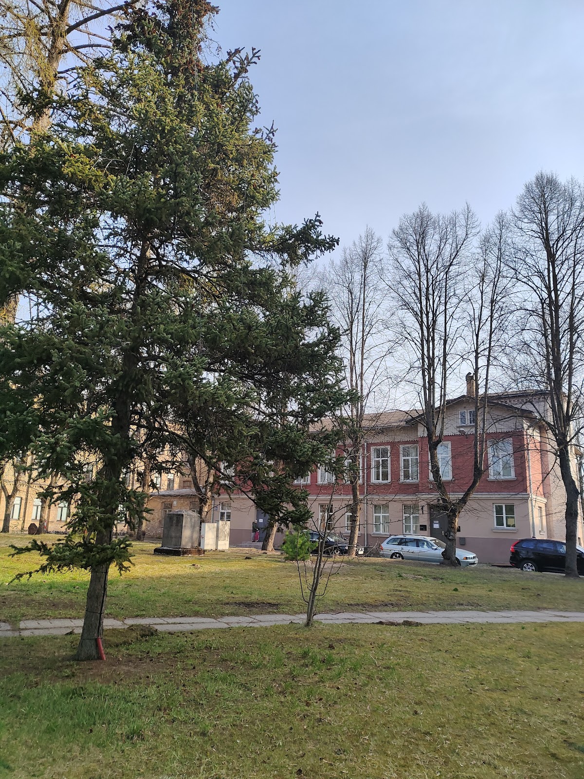 Information Systems Management Institute photo 5