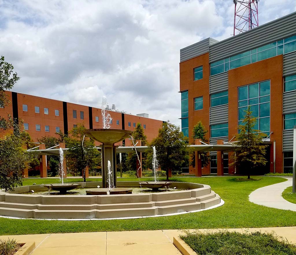 Texas Southern University photo 9