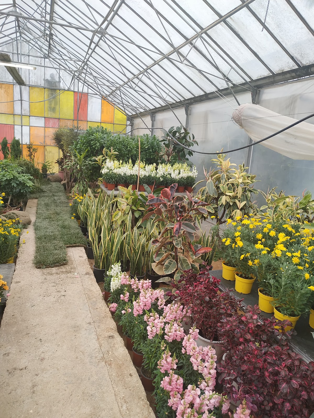 Agricultural University of Athens (Spata) photo 9