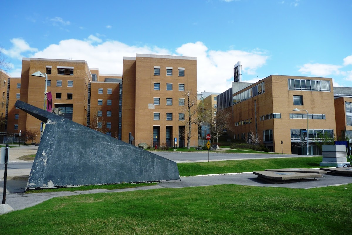 University of Montreal photo 3